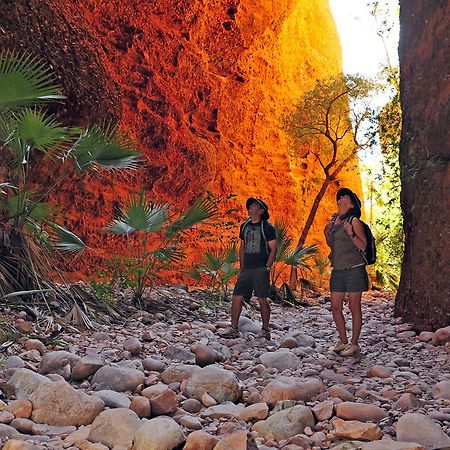 Bungle Bungle Wilderness Lodge Turkey Creek Экстерьер фото